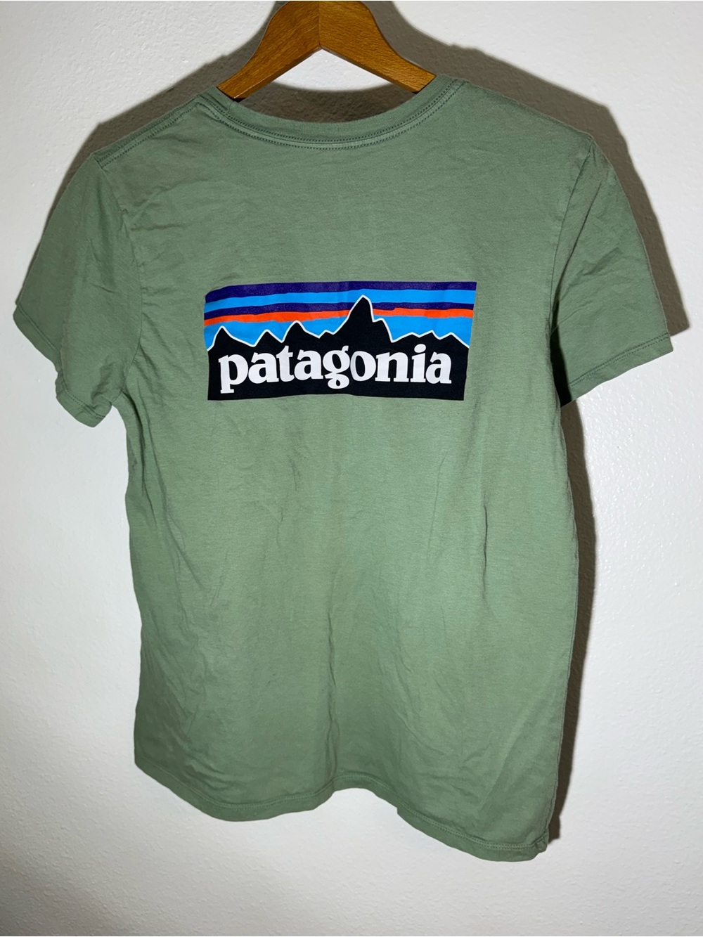 Patagonia Women’s Classic Logo T-Shirt in Sage Green